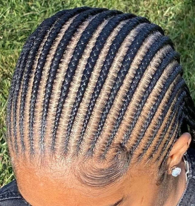 Adult precision cornrows